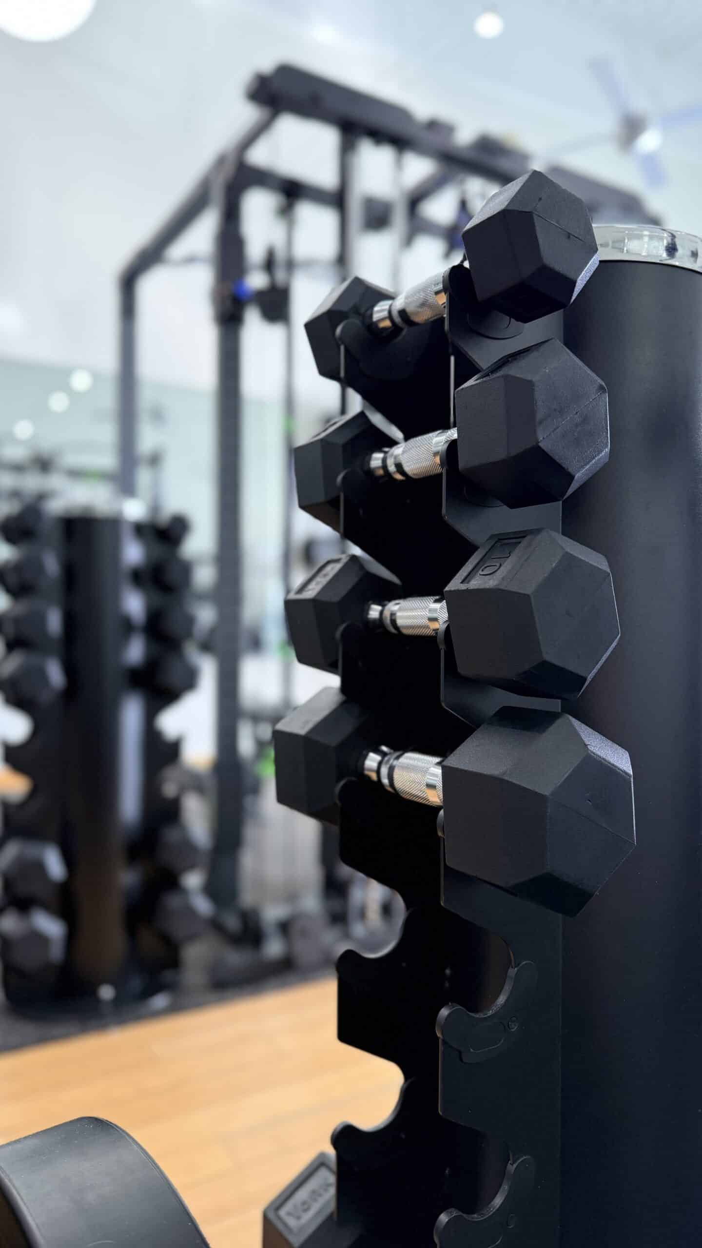 Black rubber hex dumbbells stacked on vertical rack inside modern Asheville personal training studio.